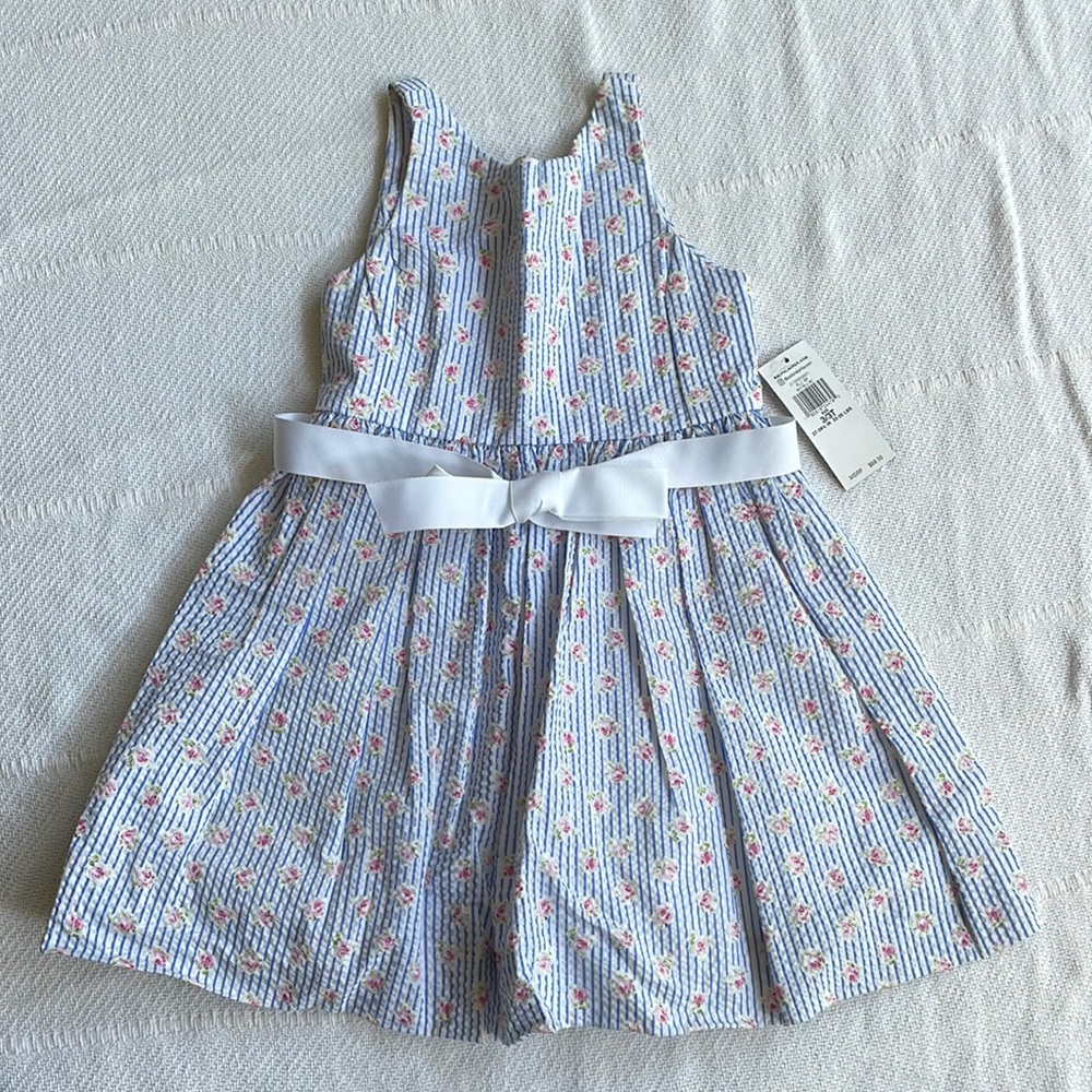 Girl's dress size 3/3T